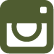 icon-ig.png